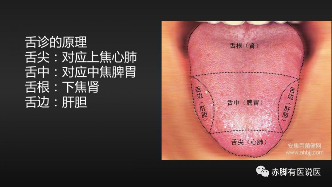 中医基础第二版21：10分钟看懂自己舌像，学会舌诊